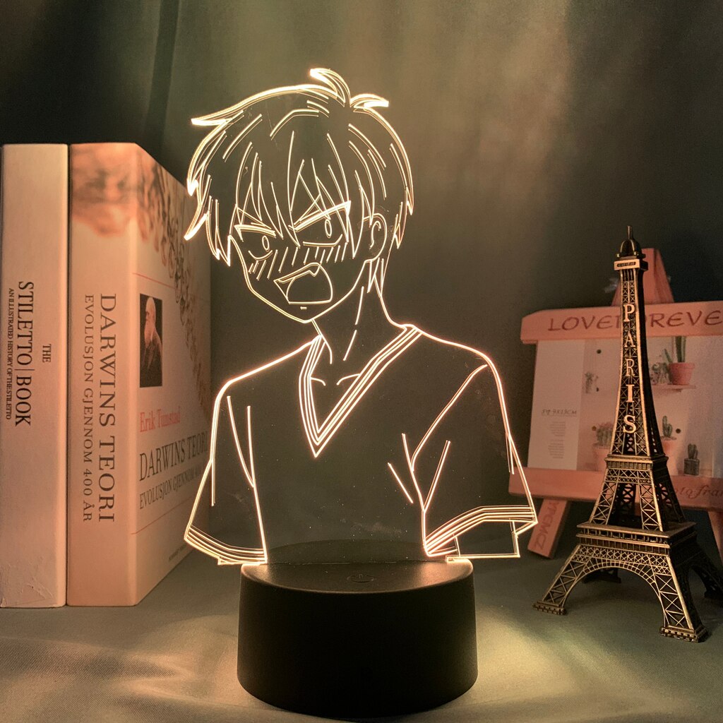 Fruits Basket Kyo Sohma 3D Lamp