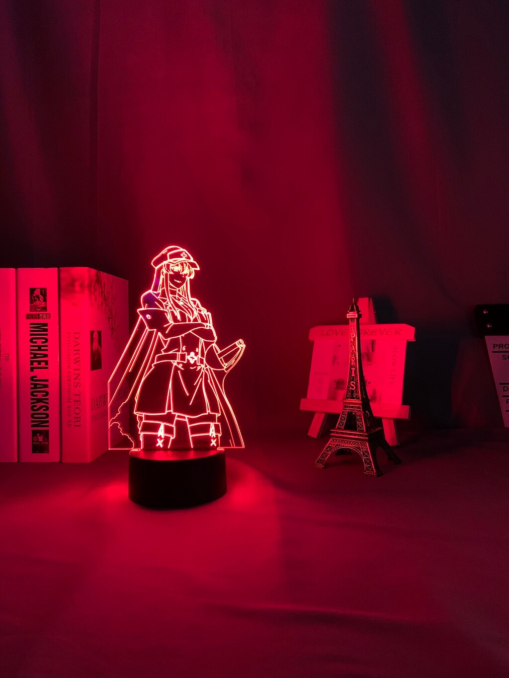 Akame Ga Kill Esdeath 3D Lamp