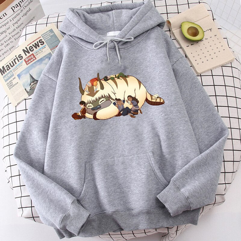 Avatar The Last Airbender Aang Appa Hoodies