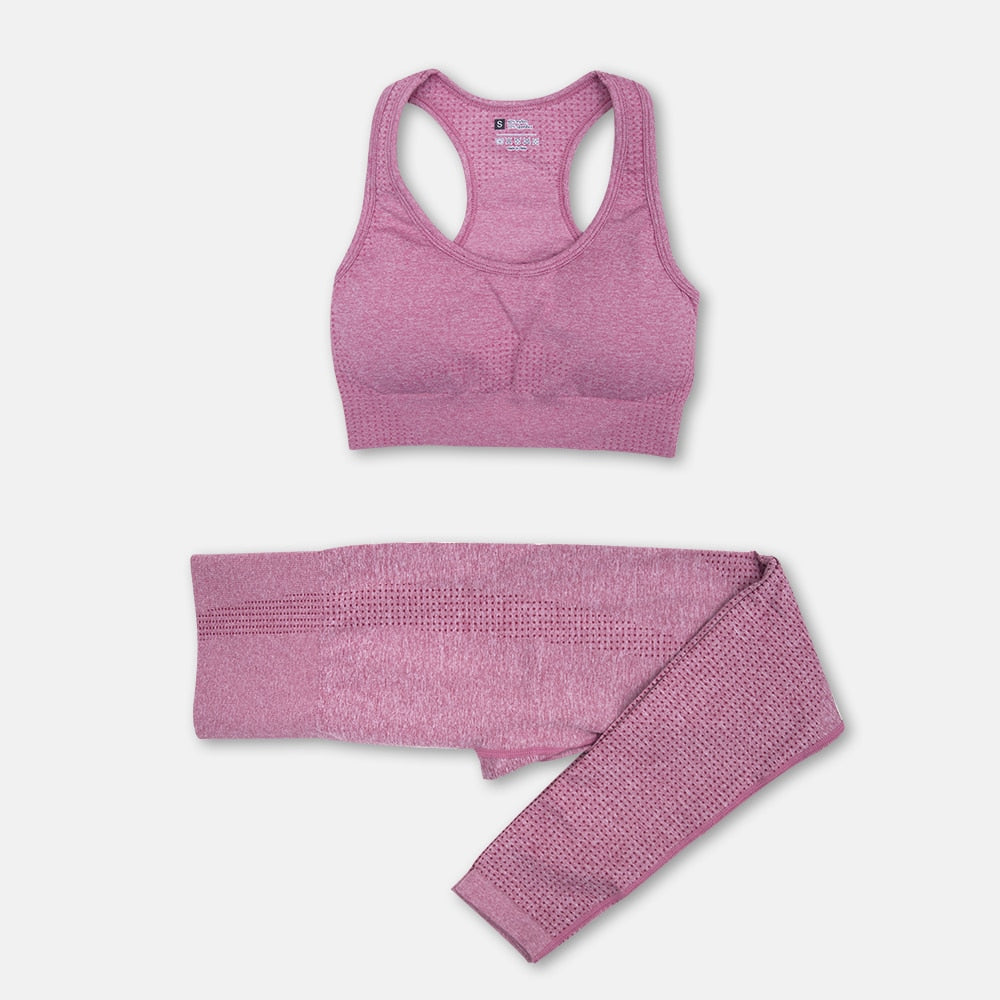 2/3PCS Seamless Women Yoga Workout Set