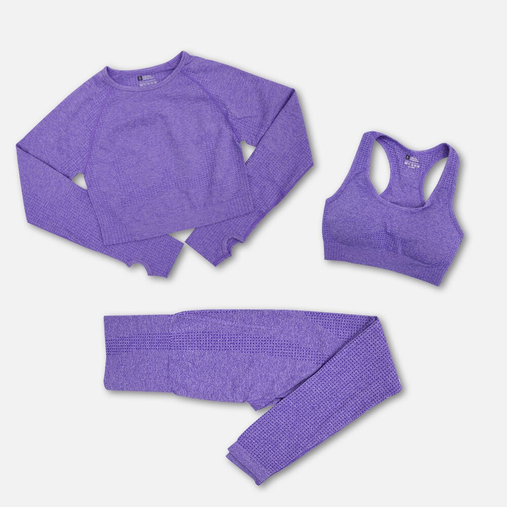 2/3PCS Seamless Women Yoga Workout Set