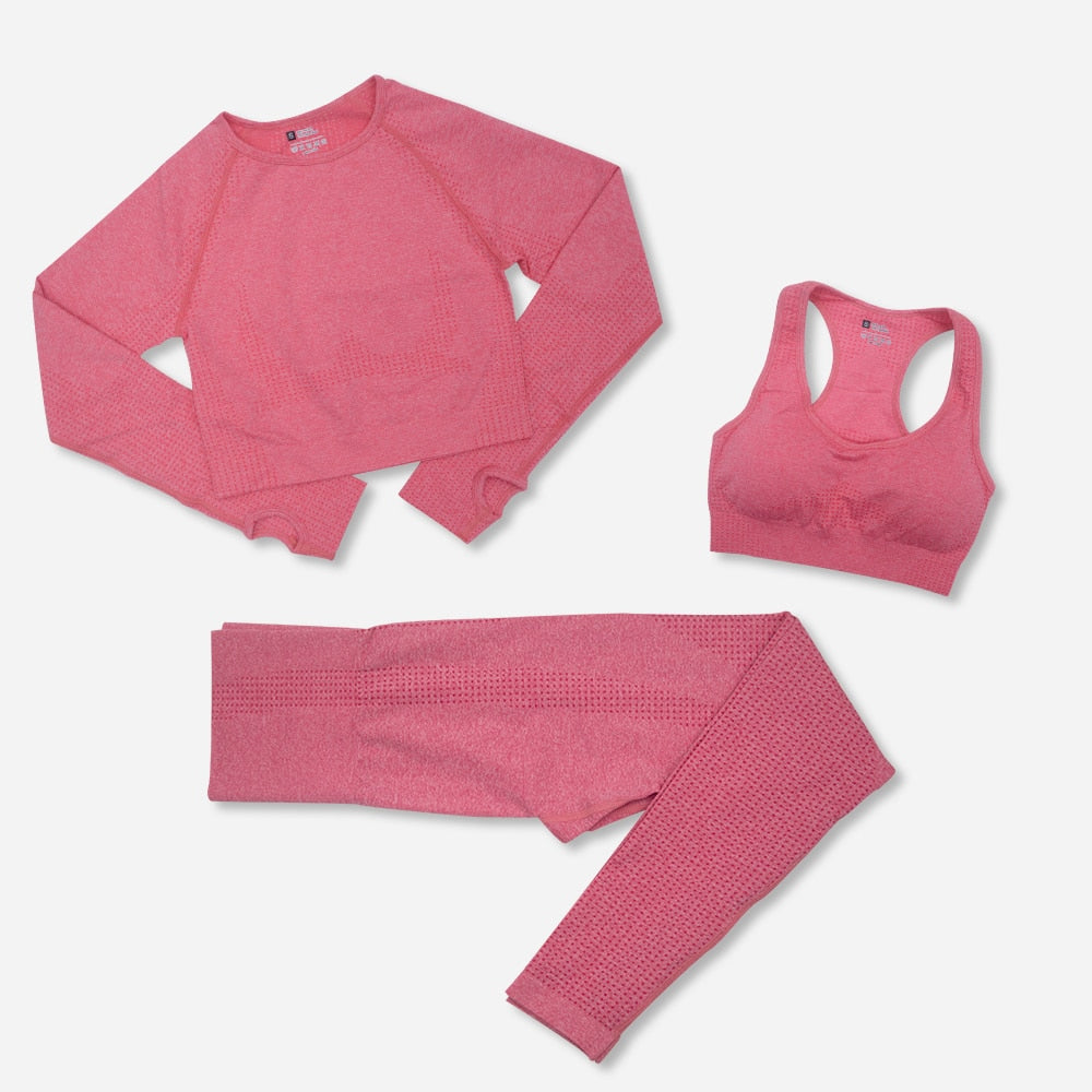 2/3PCS Seamless Women Yoga Workout Set