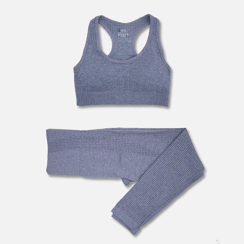 2/3PCS Seamless Women Yoga Workout Set