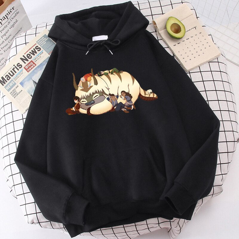 Avatar The Last Airbender Aang Appa Hoodies